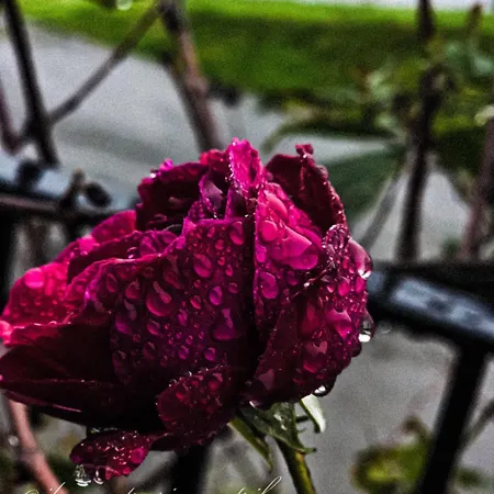 Farmház Matzuri Nekazal Turismoa Mutriku