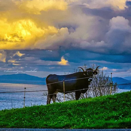 Matzuri Nekazal Turismoa Mutriku