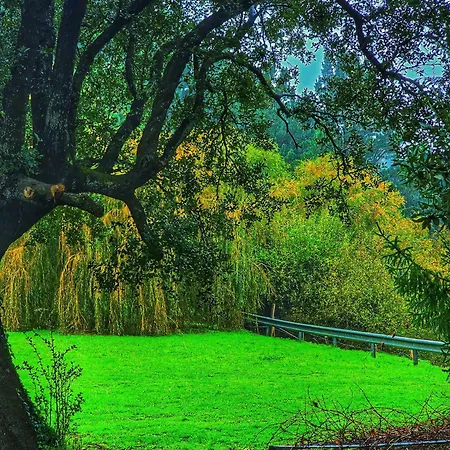 בית חווה Matzuri Nekazal Turismoa