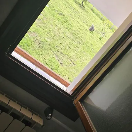 Matzuri Nekazal Turismoa מוטריקו