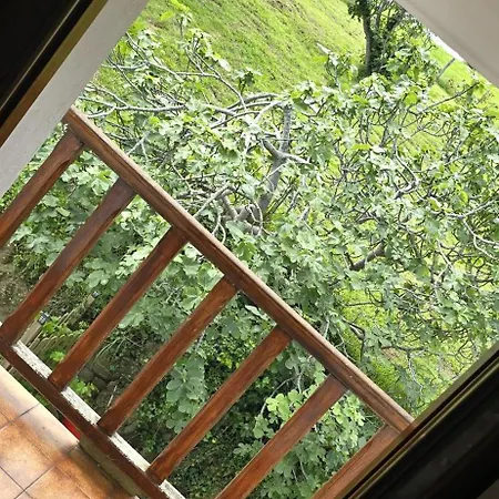 Matzuri Nekazal Turismoa * 무트리쿠